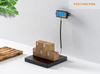 Suofei SF-886 LCD Display CE Approval Floor Platform Scale Digital Postal Shipping Weight Postal Scale
